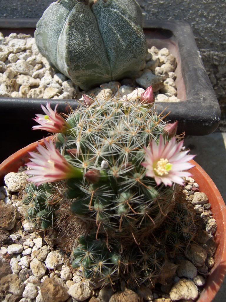 100_4125.jpg