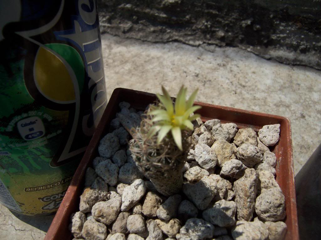 100_4128.jpg