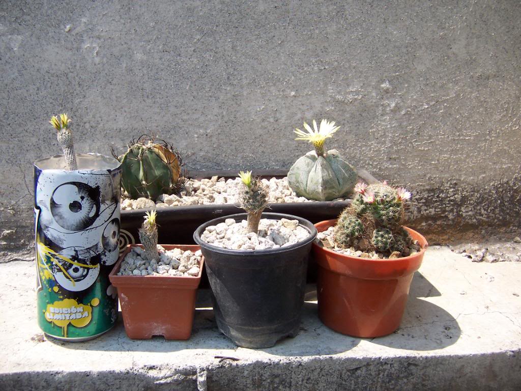 100_4129.jpg