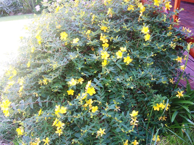 100_4347.jpg