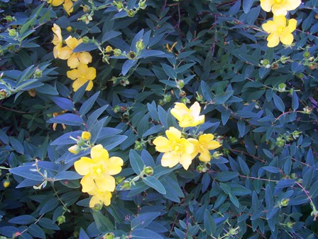 100_4348.jpg