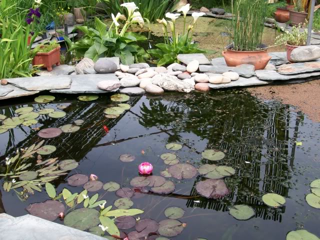 100_4380.jpg