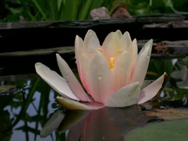 100_4383.jpg
