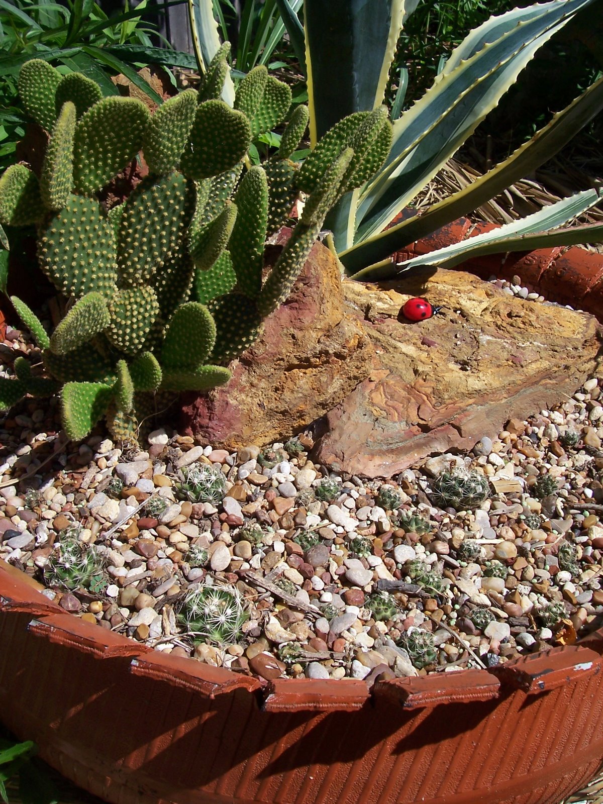 100_4385.JPG