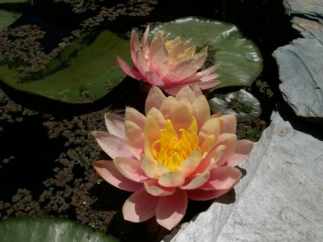 100_4404.jpg