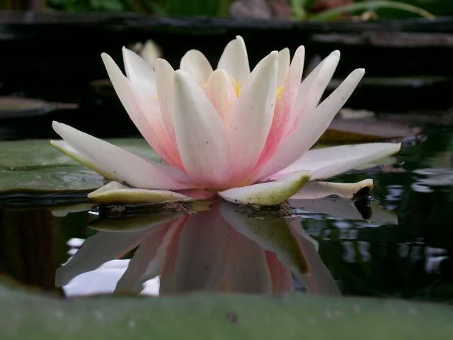 100_4448.jpg