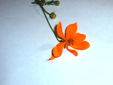100_4891.jpg