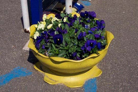 100_5078.jpg