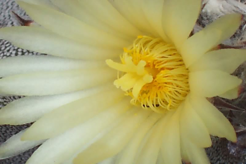 100_5086.jpg