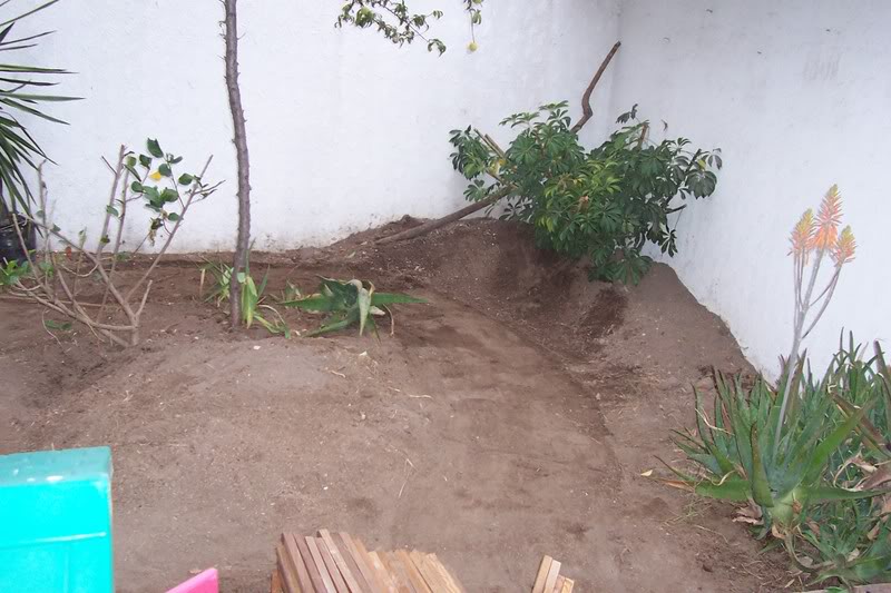 100_5094.jpg