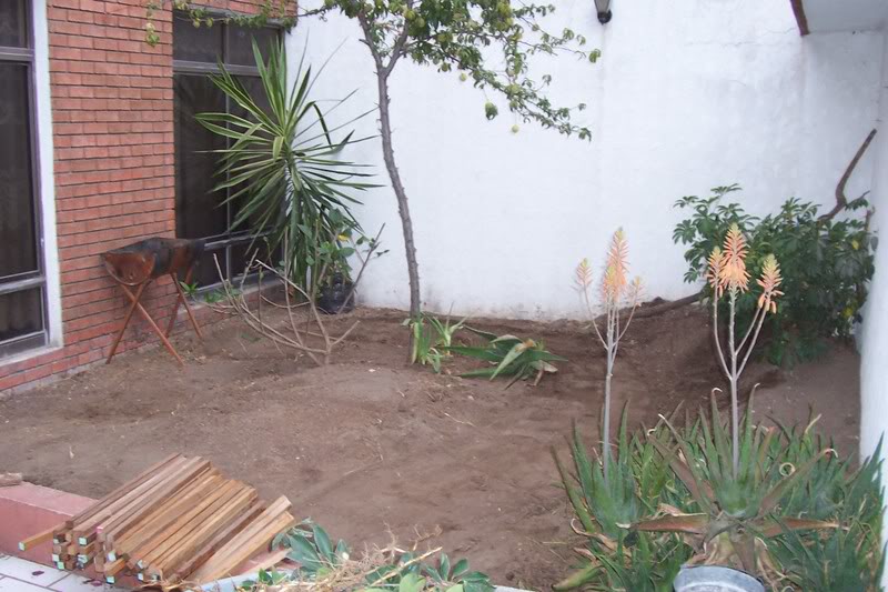 100_5095.jpg
