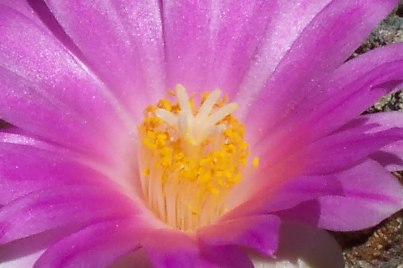 100_5131.jpg