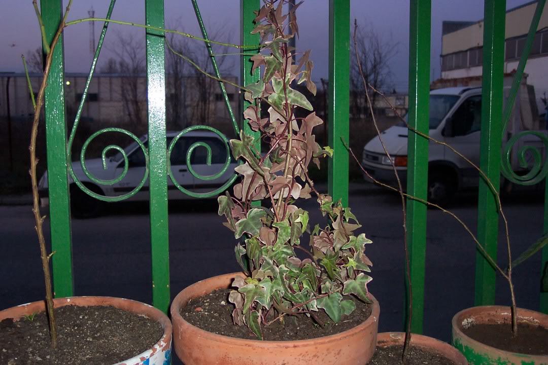 100_5415.jpg