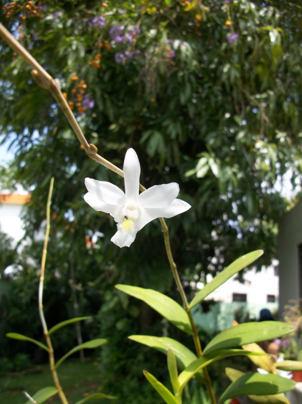 100_5908.jpg