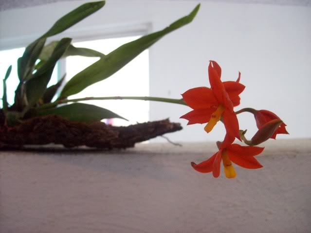 100_6310.jpg