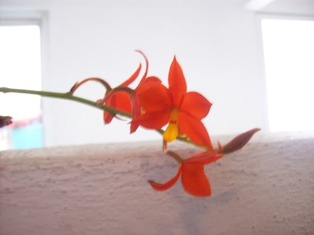 100_6311.jpg