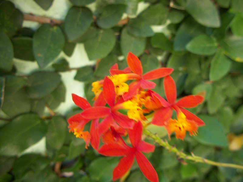 100_6344.jpg