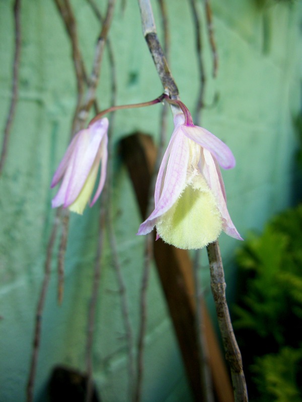 100_6362.jpg