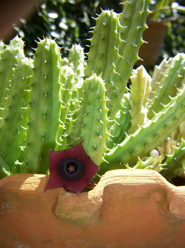 100_6511.jpg