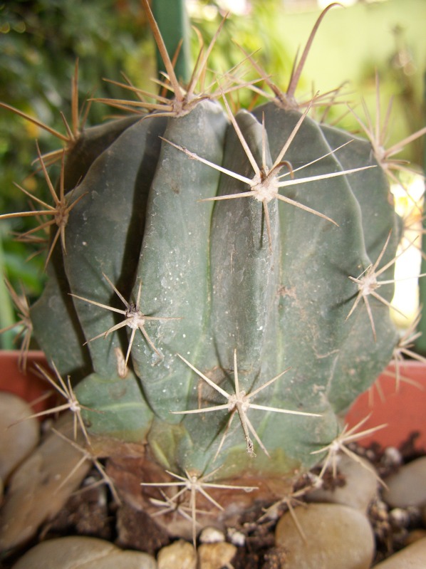100_6530.jpg