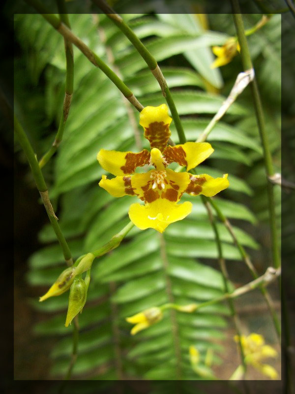 100_6600-1.jpg