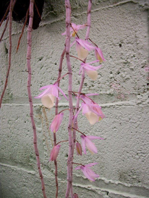 100_6726.jpg