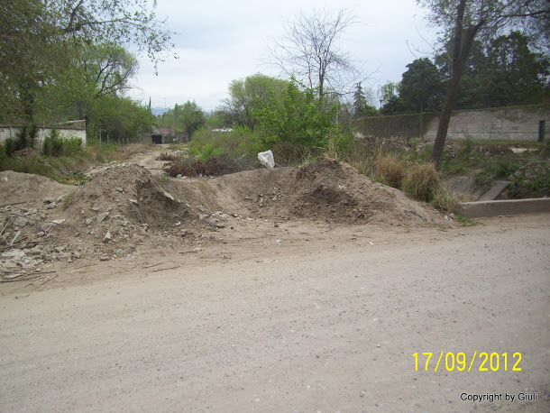 100_6747.jpg