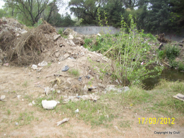 100_6750.jpg