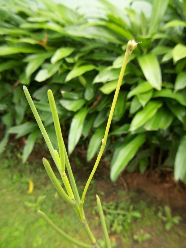 100_6751.jpg