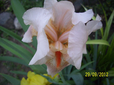 100_6892.jpg
