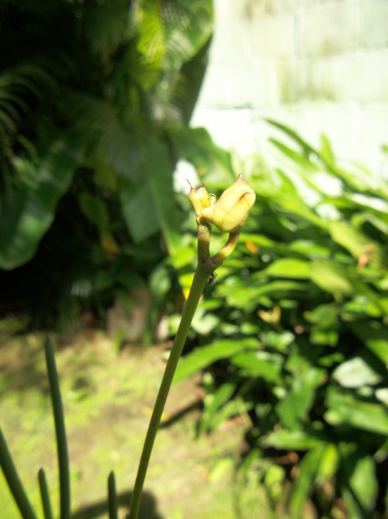 100_6986.jpg