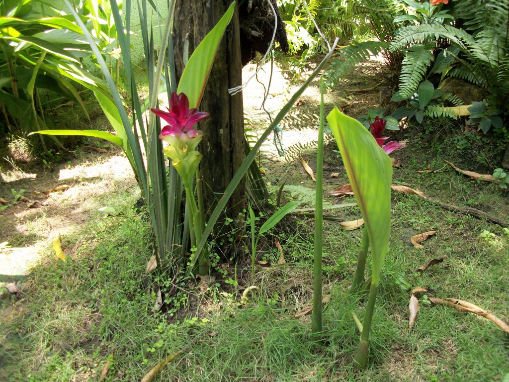 100_6999.jpg