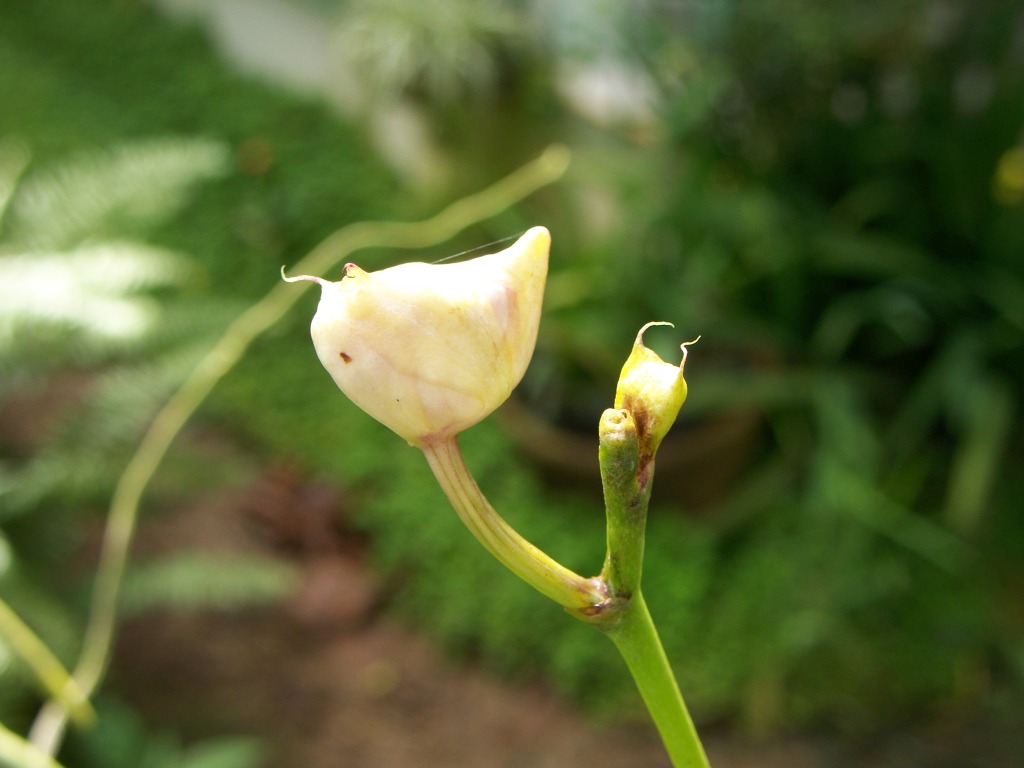 100_7019.jpg