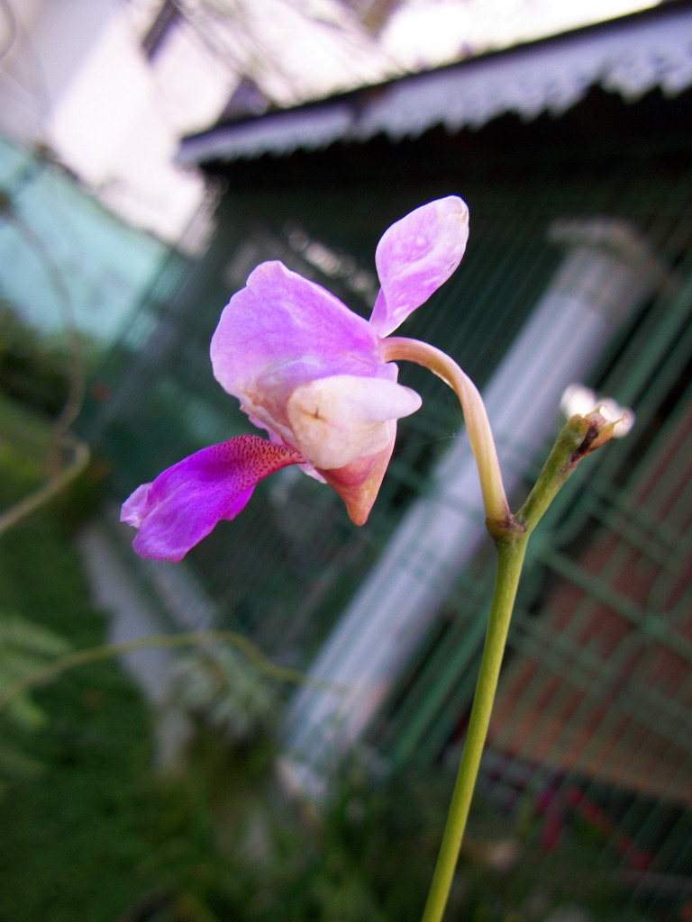 100_7066.jpg