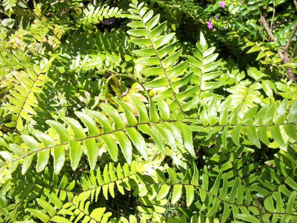 100_7072.jpg