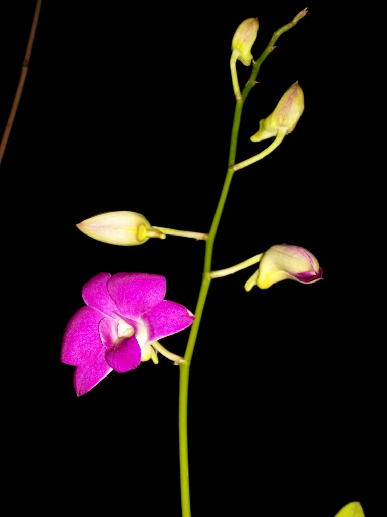 100_7102.jpg