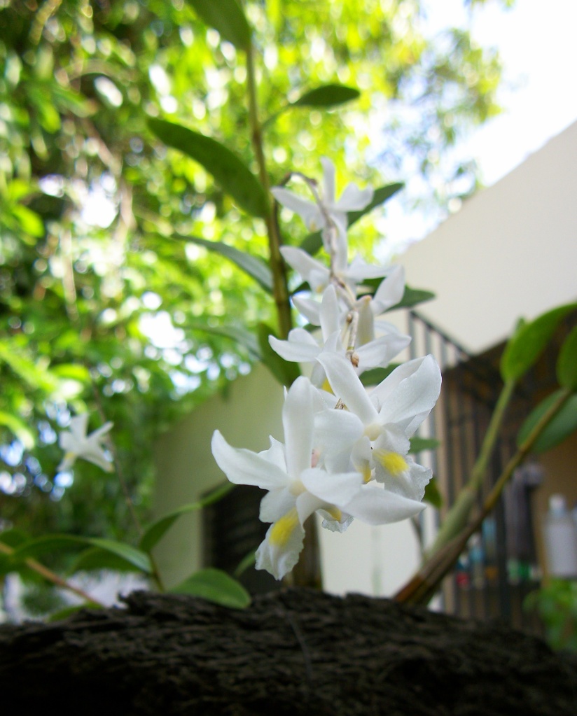 100_7125.jpg