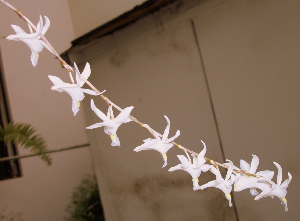 100_7146.jpg