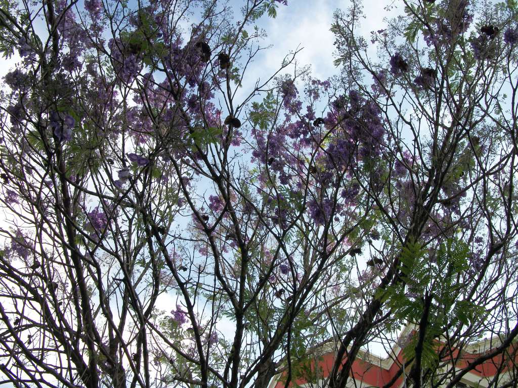 100_7153.jpg