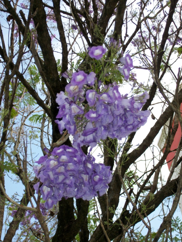 100_7159.jpg