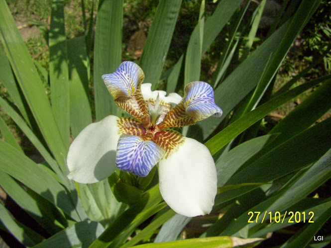 100_7168.jpg