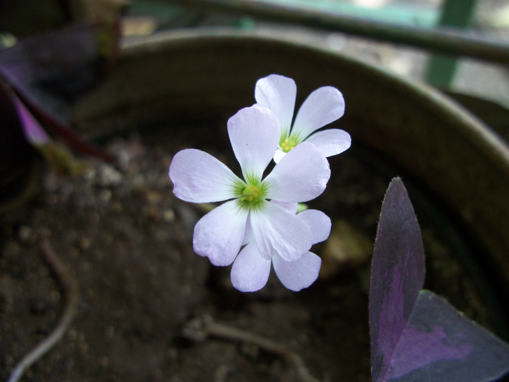 100_7474.jpg
