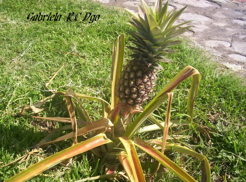 100_7503.jpg