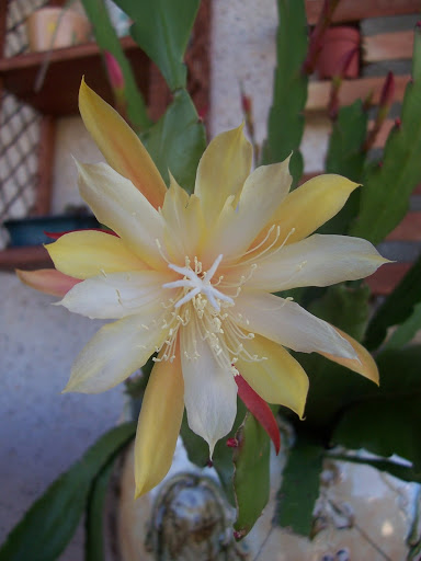 100_7701.jpg