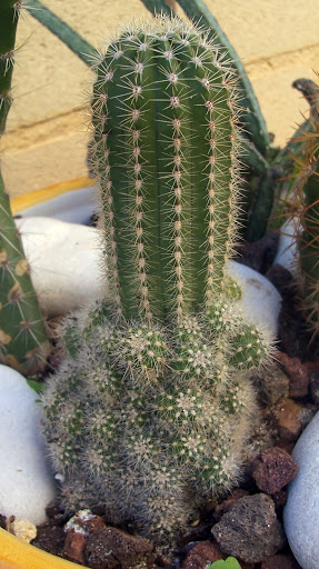100_7871.jpg