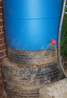 100_8004+small.jpg