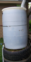 100_8008+small.jpg