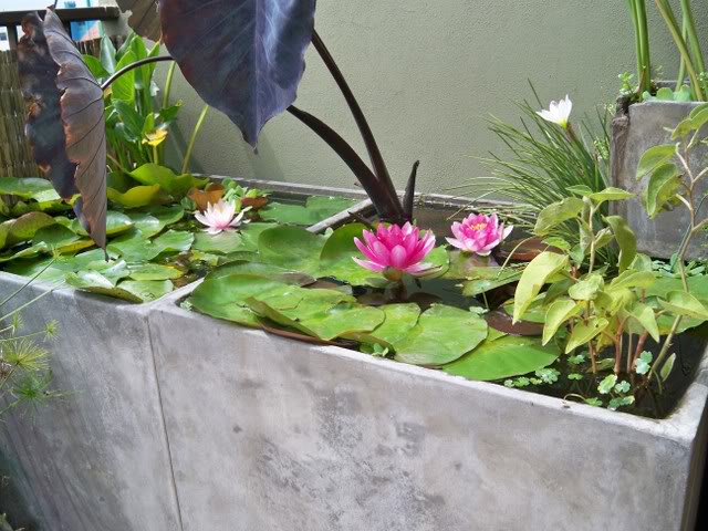 100_8729.jpg