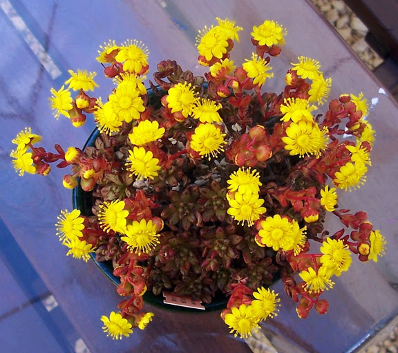 100_8770.jpg