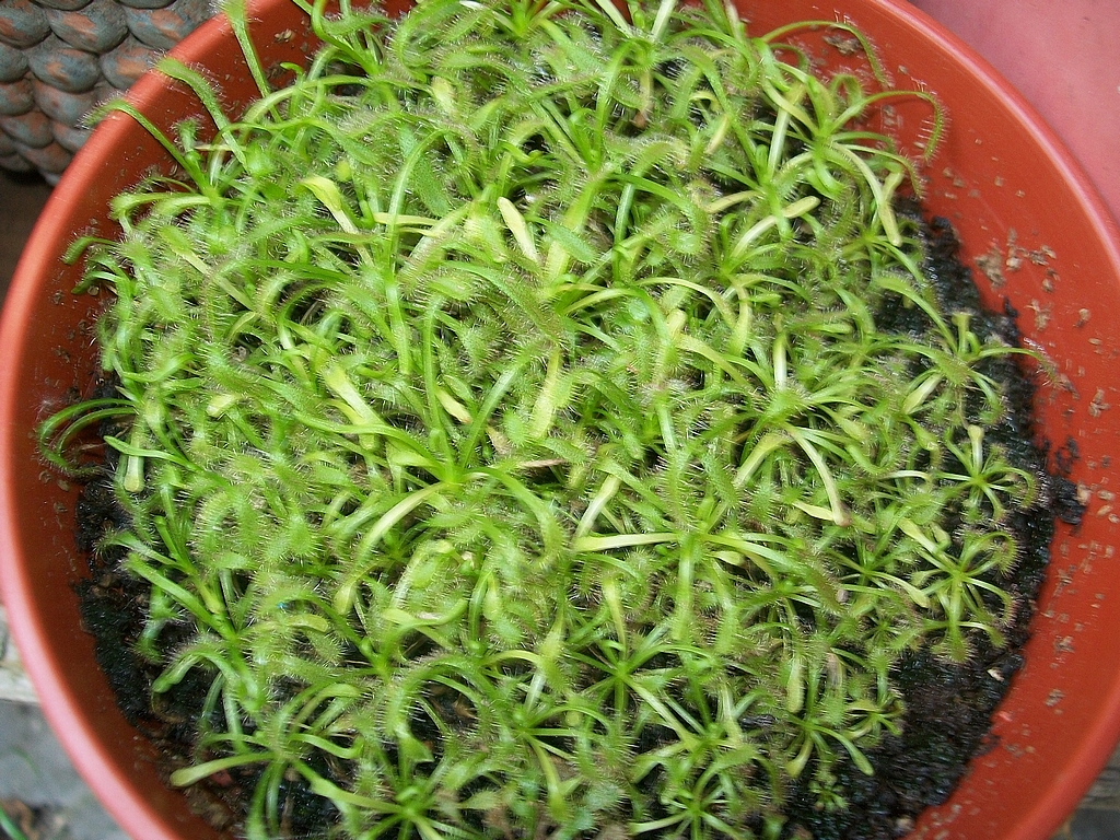 100_8788_zps90e9045e.jpg